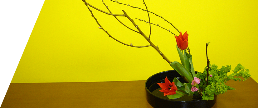 Amagata Flower Arrangement Club